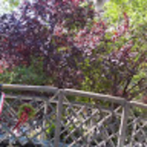 Meet your Posher, Sasha